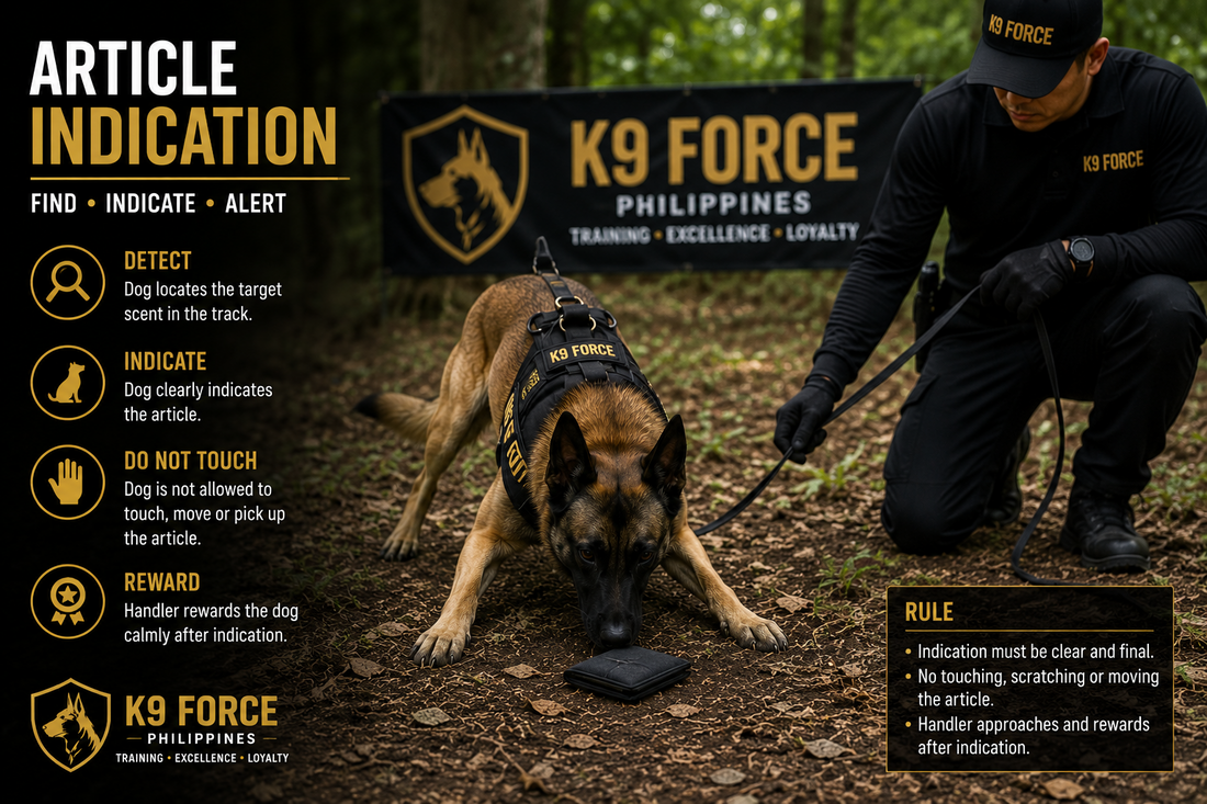 Article Indication