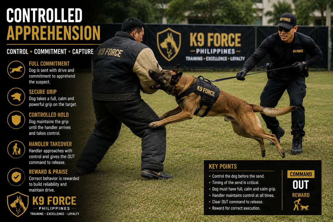 Controlled Apprehension