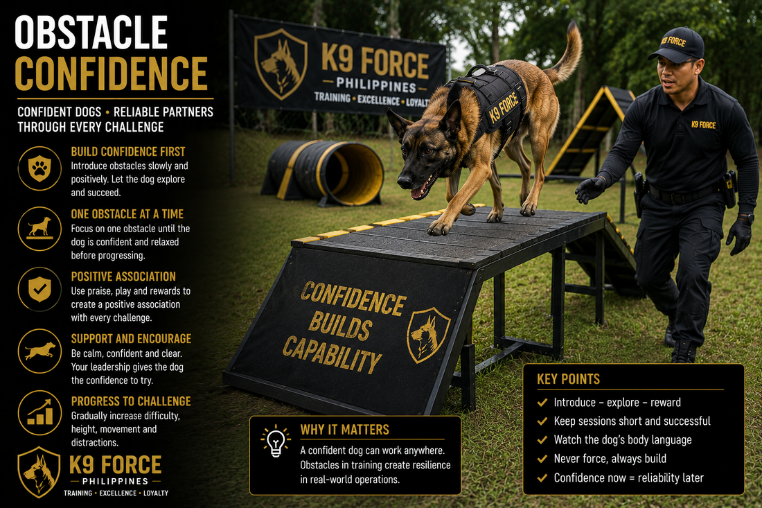 Obstacle Confidence